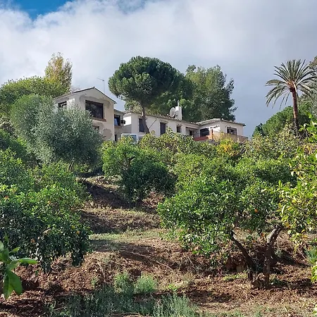 Bed & Breakfast El Bufon De La Corte *