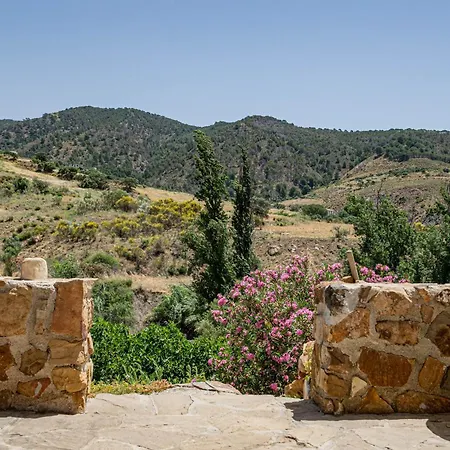 El Bufon De La Corte