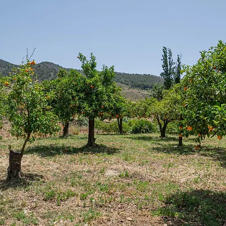 El Bufon De La Corte Bed & Breakfast Carratraca
